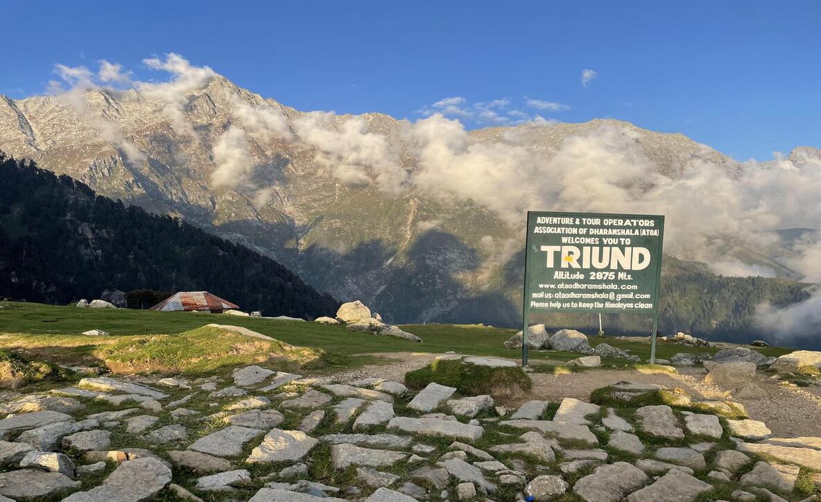 Triund trek price, book Triund trek, Triund trekking packages,